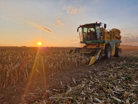20250909_063826-picker